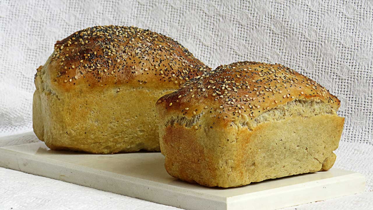 Panes de molde